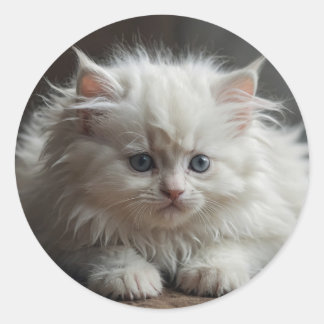 Adesivos de Gato
