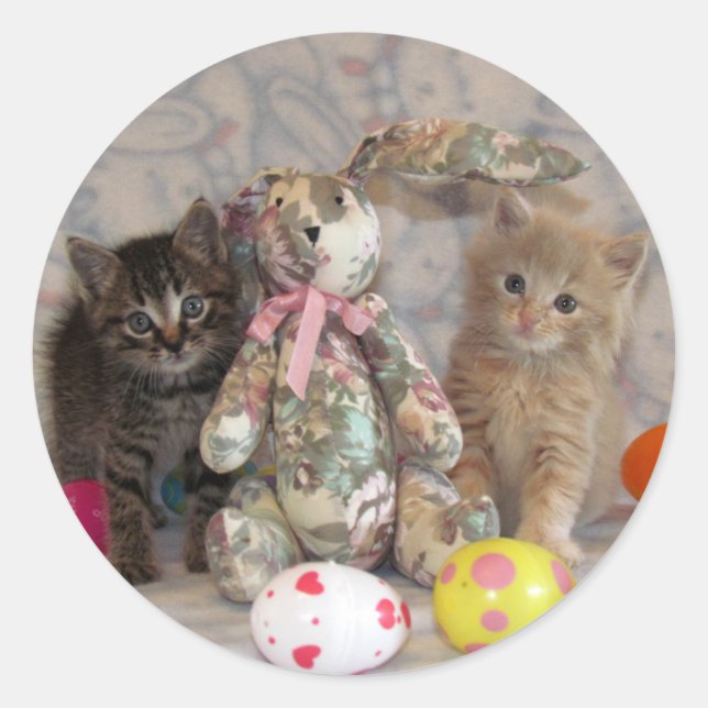 Adesivos de Gato / Gatinhos Patton e Buffington (Frente)