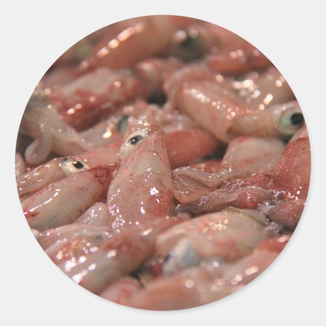 Adesivos de Lulas Frescos (Frente)