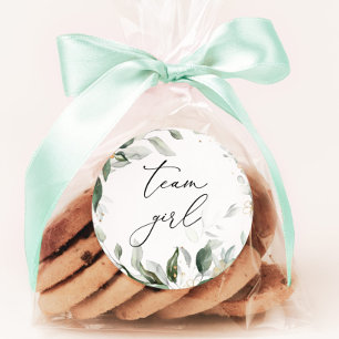 Adesivos de menina da equipe Greenery