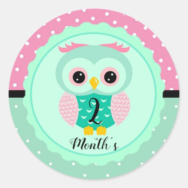 Adesivos de Mês de Bebê (Frente)