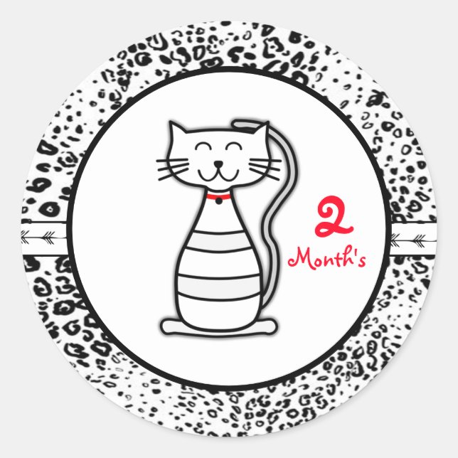 Adesivos de Mês do Bebê (Frente)