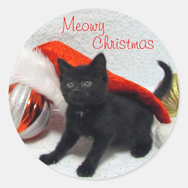 Adesivos de Natal de Joon - Gato / Gatito (Frente)