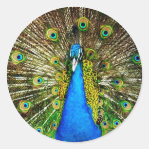 Adesivos de Peacock