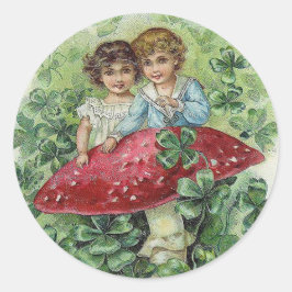 Adesivos de pedra-do-camelo