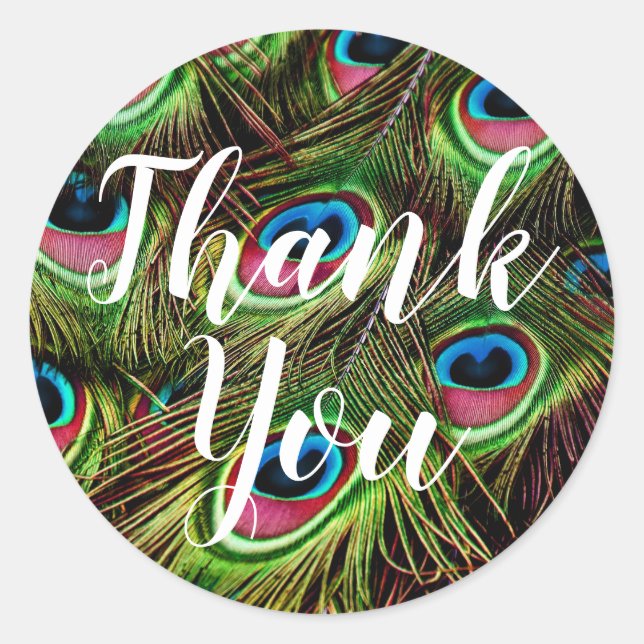 Adesivos de Pena de Pavão de Agradecimento (Frente)