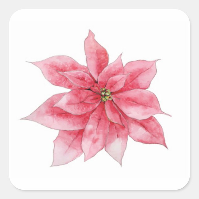 Adesivos de Poinsettia de Aquarelas (Frente)