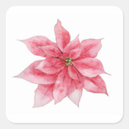 Adesivos de Poinsettia de Aquarelas