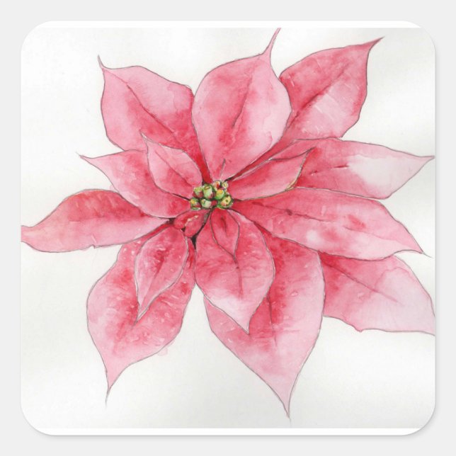 Adesivos de Poinsettia de Aquarelas (Frente)