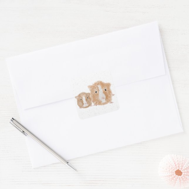 Adesivos de Porquinho-da-Índia (Envelope)