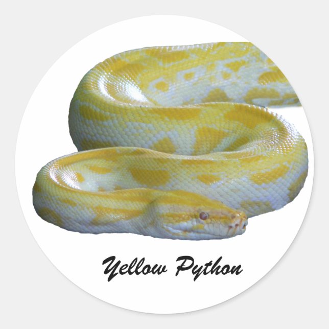 Adesivos de Python Amarelo (Frente)