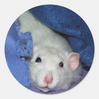 Adesivos de Rato Cortado