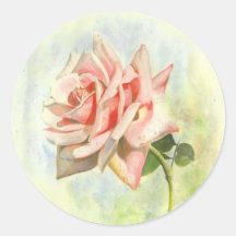 Adesivos de Rosa Rosa