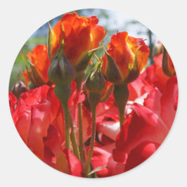 Adesivos de Rosas Vermelhas selos de Envelope pers