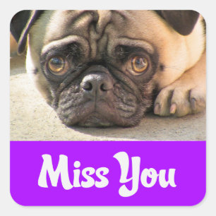 Adesivos de Saudações de Cachorro Pug Puppy Dog Mi