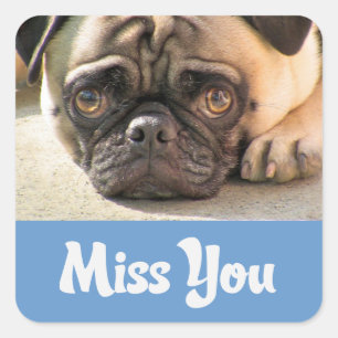 Adesivos de Saudade de Cachorrinho Pug