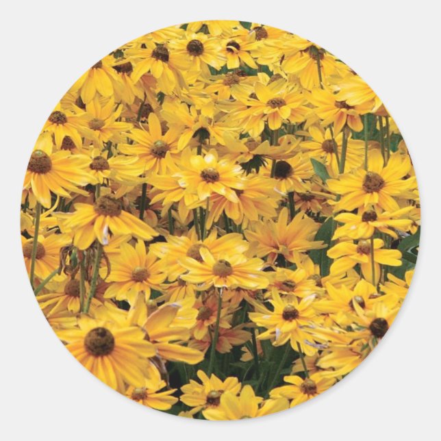 Adesivos de selagem de envelopes amarelos (Frente)