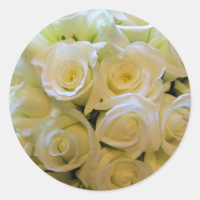 Adesivos de selagem de envelopes de rosa branco (Frente)