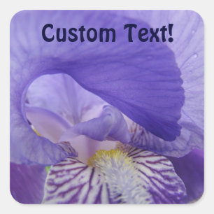 Adesivos de Texto Personalizado Flores de Íris Rox