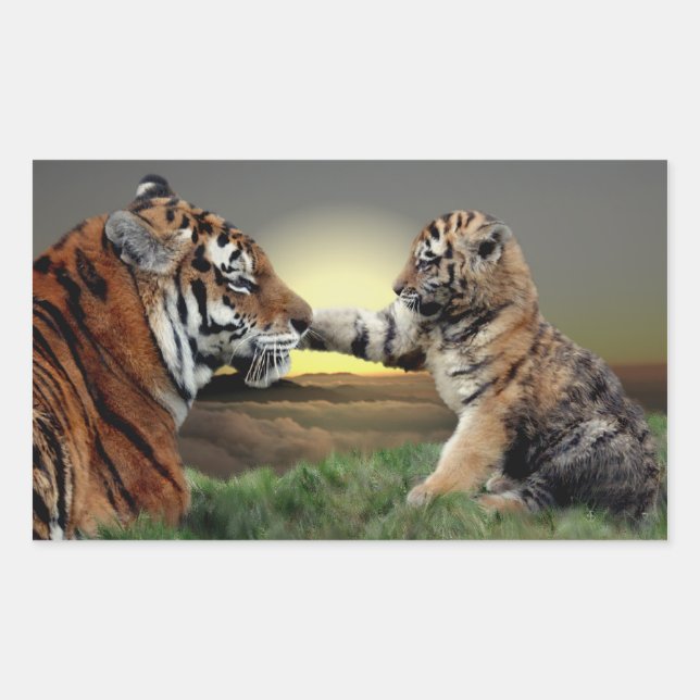 Adesivos de Tigre e Filhote (Frente)