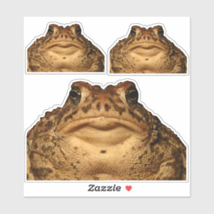 Adesivos de Toad Monster