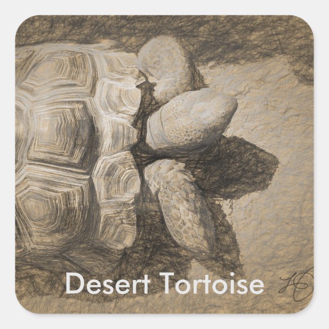 Adesivos de Tortoise do Deserto (Frente)