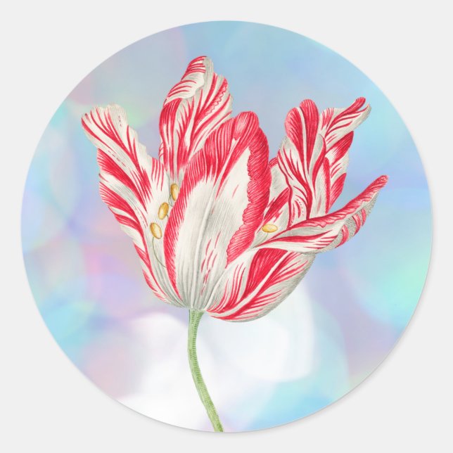 Adesivos de Tulipa Vermelha Vintage (Frente)
