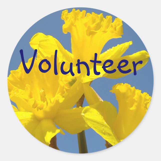Adesivos de voluntário Flores Amarelas Narcisos Es (Frente)