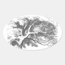 Adesivos do Gato de Cheshire do Alice no País das