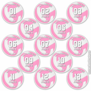 adesivos do time de vôlei rosa das meninas 13 atle