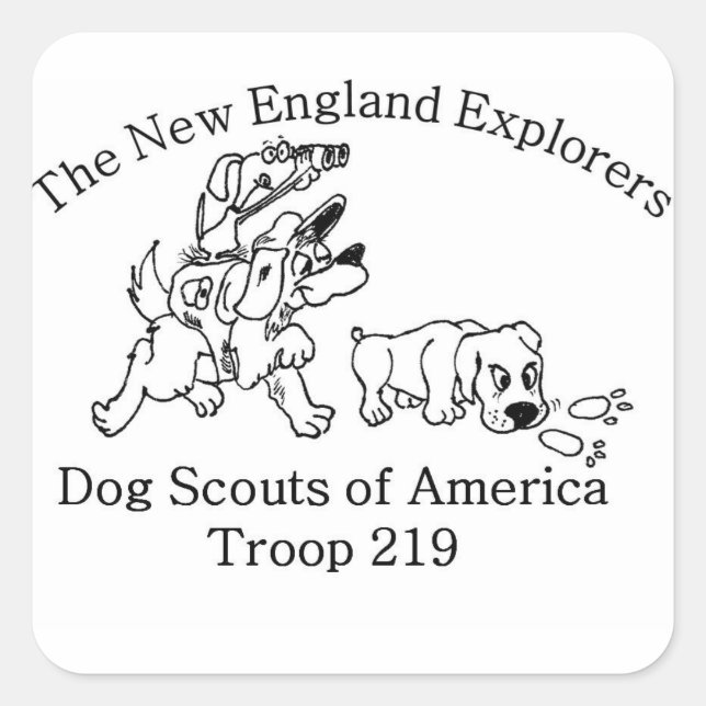 Adesivos DSA Troop 219 (Frente)