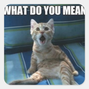 Adesivos engraçados para gatos