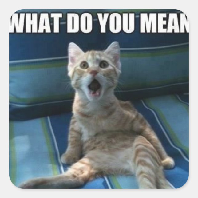 Adesivos engraçados para gatos (Frente)