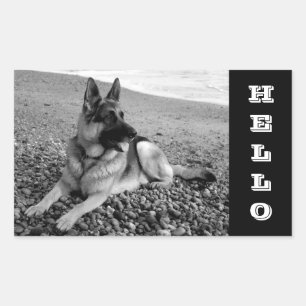 Adesivos / Etiquetas Olá / Olá Cachorrinho Pastor