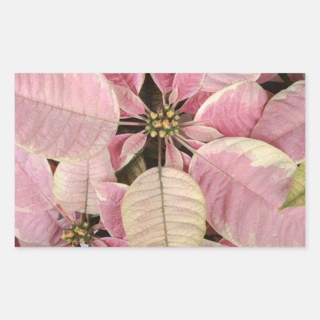 Adesivos Feriados (Frente)