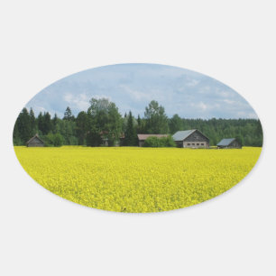 Adesivos finlandeses