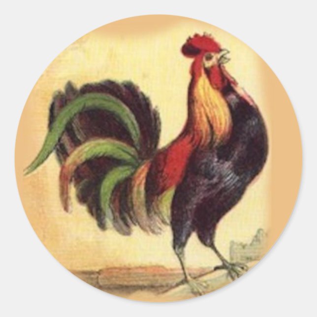Adesivos Gorgeoud Rooster (Frente)