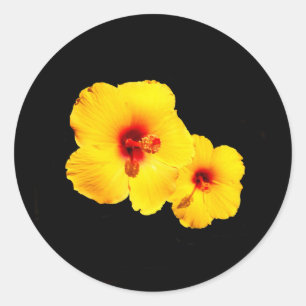 Adesivos Hibiscus Amarelos