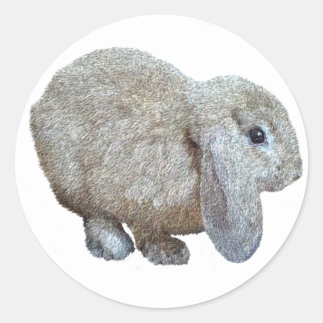 Adesivos Holland Lop Ear Rabbit (Frente)