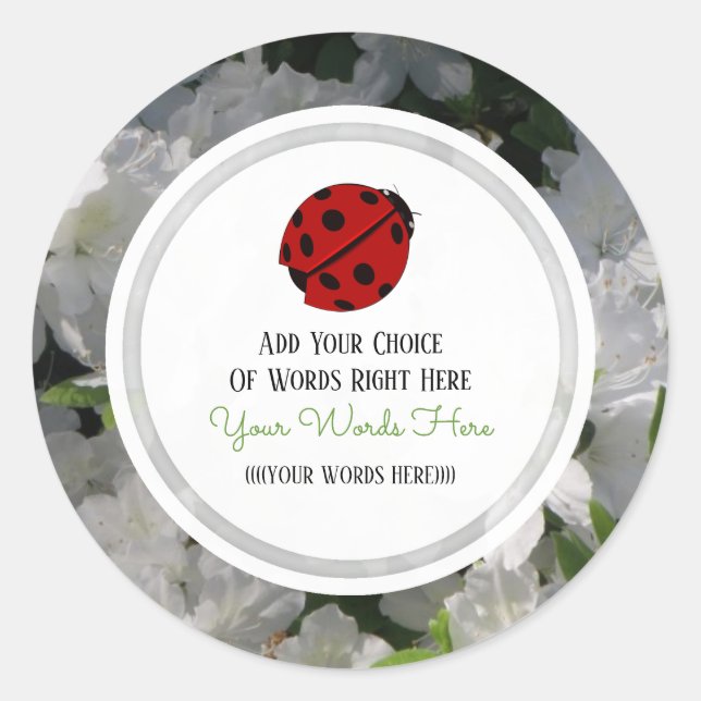 Adesivos Ladybug personalizados (Frente)