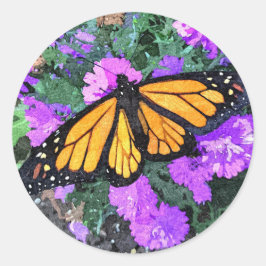 Adesivos Monarca & Aster