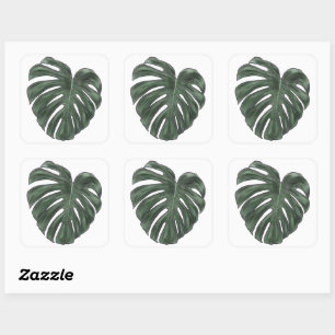Adesivos Monstera
