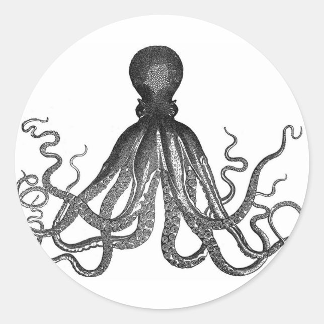 Adesivos Octopus (Frente)