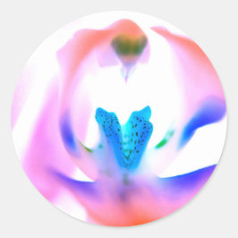 Adesivos Orquídeos Clássicos Redondos Rosa