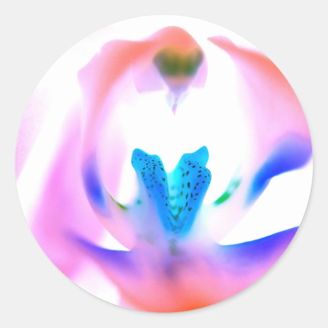 Adesivos Orquídeos Clássicos Redondos Rosa (Frente)