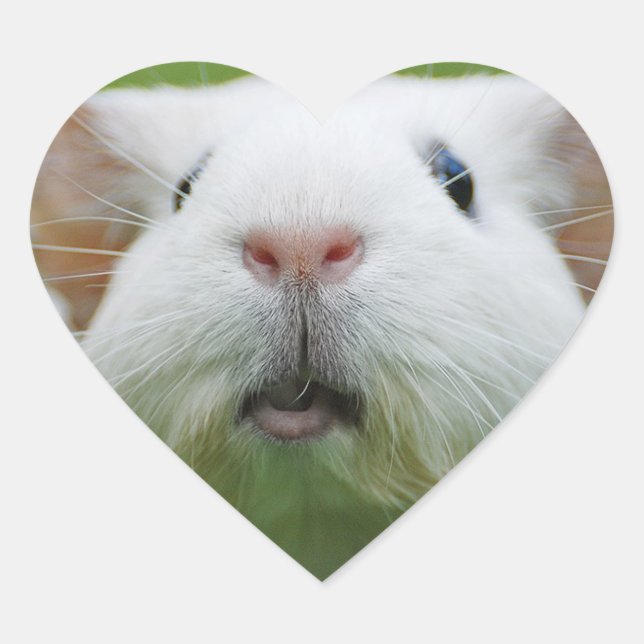 adesivos para borracha (Frente)