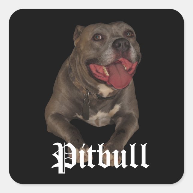 Adesivos para cães de Pitbull (Frente)