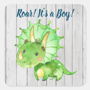 Adesivos para Chá de Bebê Dinossauro