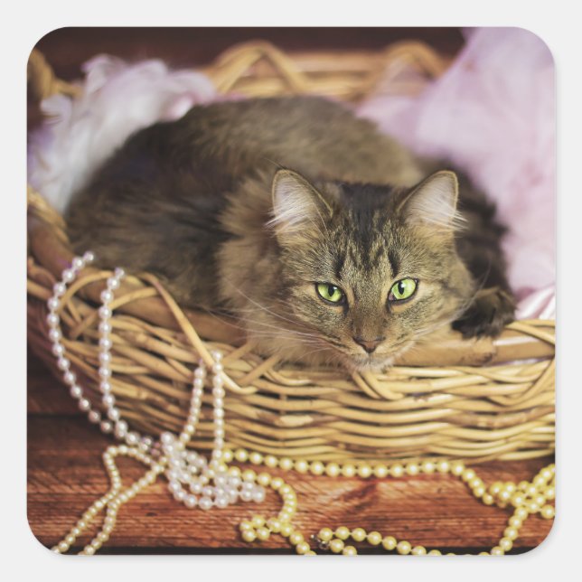 adesivos para garotas de festa (Frente)