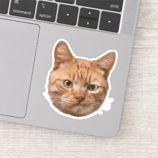Adesivos Personalizados de Animais de Estimação De